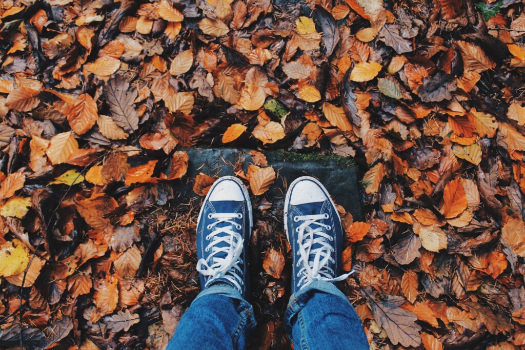 fall leaf cleanup, falling leaves, fall season