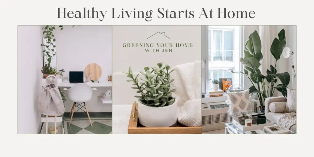 healthy home